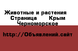  Животные и растения - Страница 13 . Крым,Черноморское